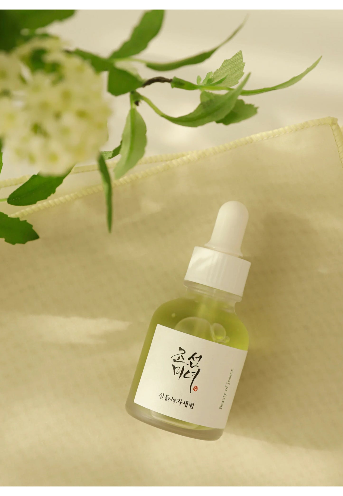 Beauty of Joseon Calming Serum Green Tea + Panthenol